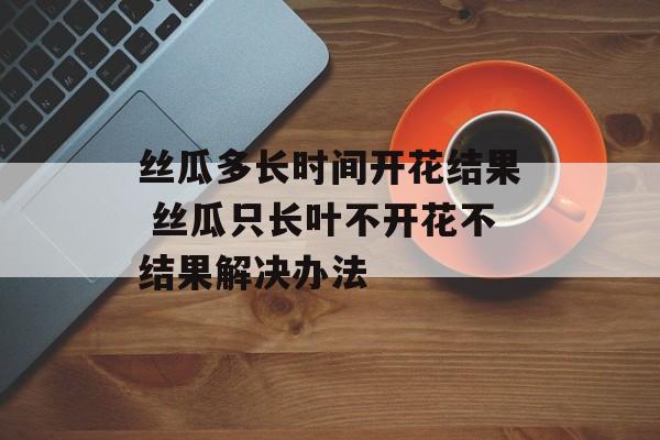 丝瓜多长时间开花结果 丝瓜只长叶不开花不结果解决办法-第1张图片-