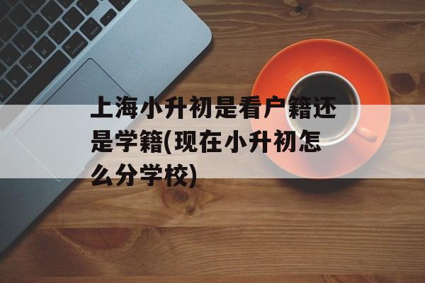 上海小升初是看户籍还是学籍(现在小升初怎么分学校)-第1张图片-