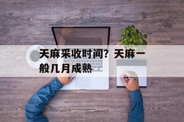 天麻采收时间？天麻一般几月成熟-第1张图片-