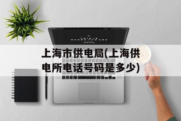 上海市供电局(上海供电所电话号码是多少)-第1张图片-