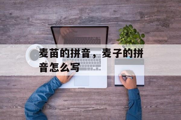 麦苗的拼音，麦子的拼音怎么写-第1张图片-