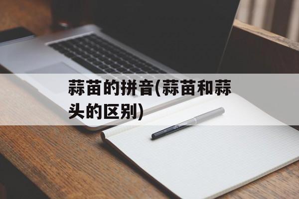 蒜苗的拼音(蒜苗和蒜头的区别)-第1张图片-