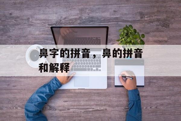 鼻字的拼音，鼻的拼音和解释-第1张图片-