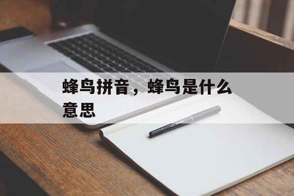 蜂鸟拼音，蜂鸟是什么意思-第1张图片-