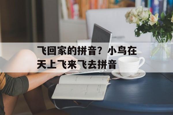 飞回家的拼音？小鸟在天上飞来飞去拼音-第1张图片-