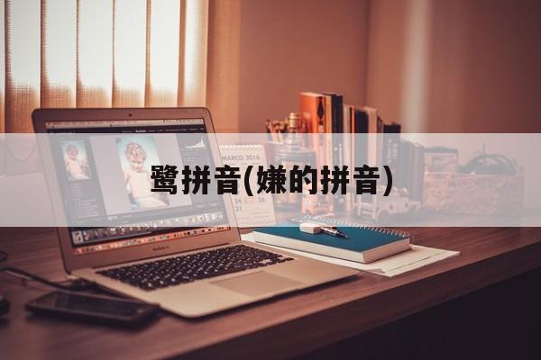 鹭拼音(嫌的拼音)-第1张图片-