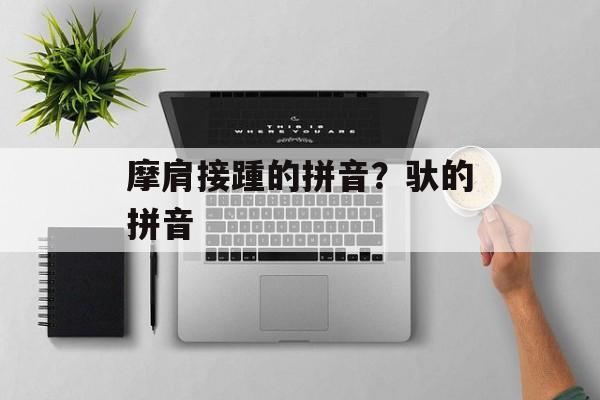 摩肩接踵的拼音？驮的拼音-第1张图片-