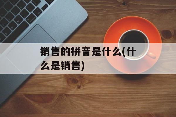 销售的拼音是什么(什么是销售)-第1张图片-