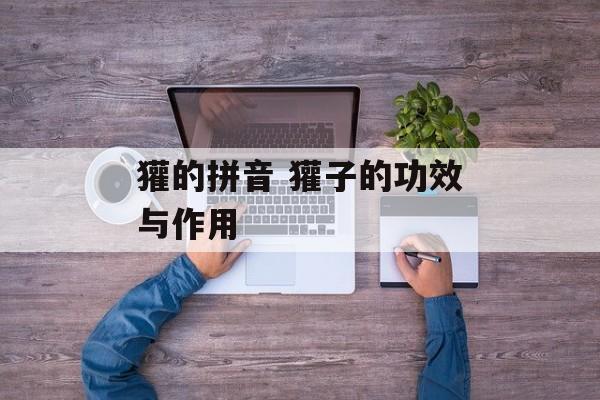 獾的拼音 獾子的功效与作用-第1张图片-