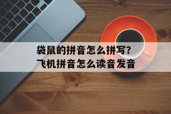 袋鼠的拼音怎么拼写？飞机拼音怎么读音发音-第1张图片-