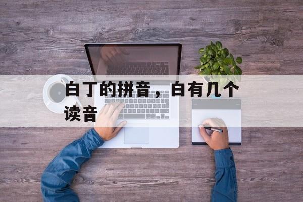 白丁的拼音，白有几个读音-第1张图片-