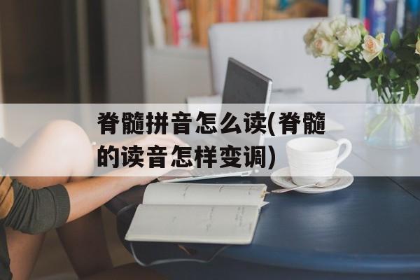 脊髓拼音怎么读(脊髓的读音怎样变调)-第1张图片-