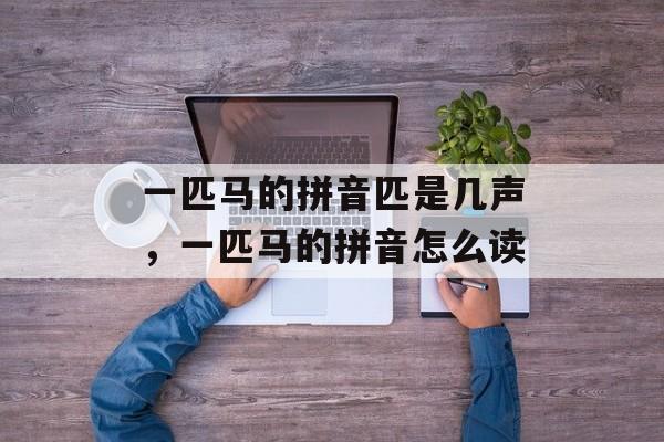 一匹马的拼音匹是几声，一匹马的拼音怎么读-第1张图片-