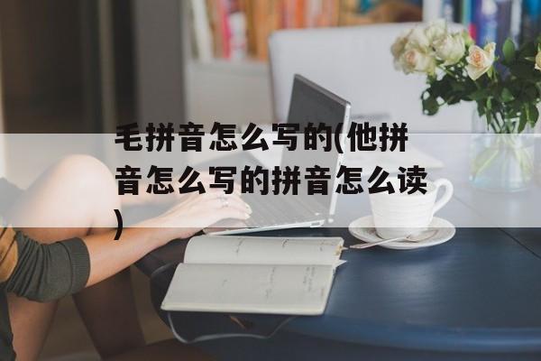 毛拼音怎么写的(他拼音怎么写的拼音怎么读)-第1张图片-