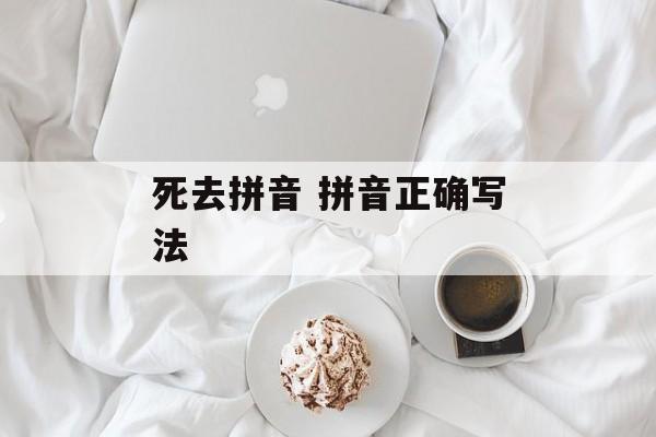 死去拼音 拼音正确写法-第1张图片-