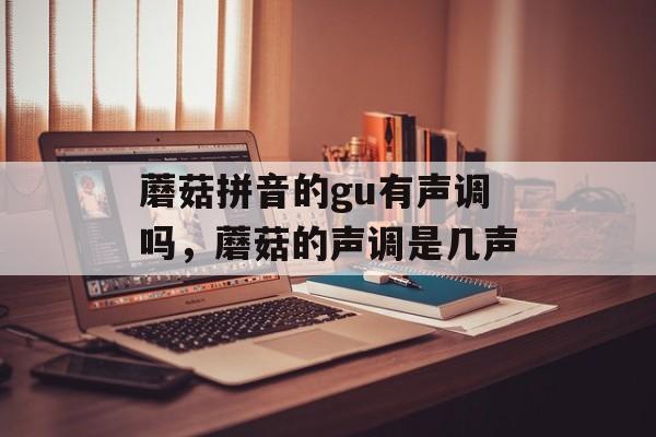 蘑菇拼音的gu有声调吗，蘑菇的声调是几声-第1张图片-