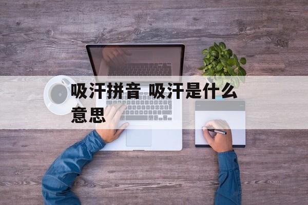 吸汗拼音 吸汗是什么意思-第1张图片-