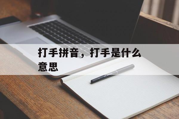 打手拼音，打手是什么意思-第1张图片-
