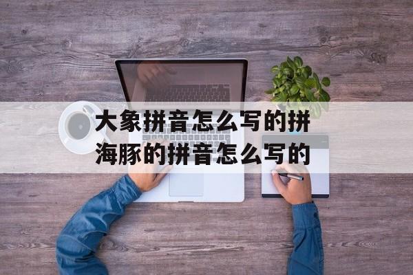 大象拼音怎么写的拼 海豚的拼音怎么写的-第1张图片-