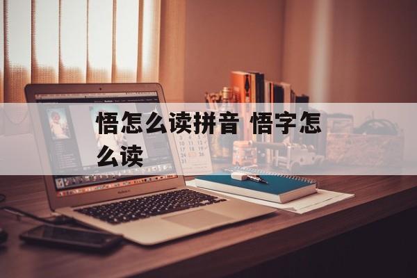 悟怎么读拼音 悟字怎么读-第1张图片-
