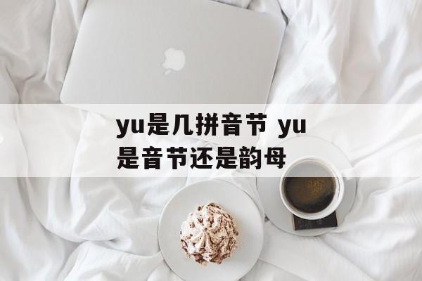 yu是几拼音节 yu是音节还是韵母-第1张图片-