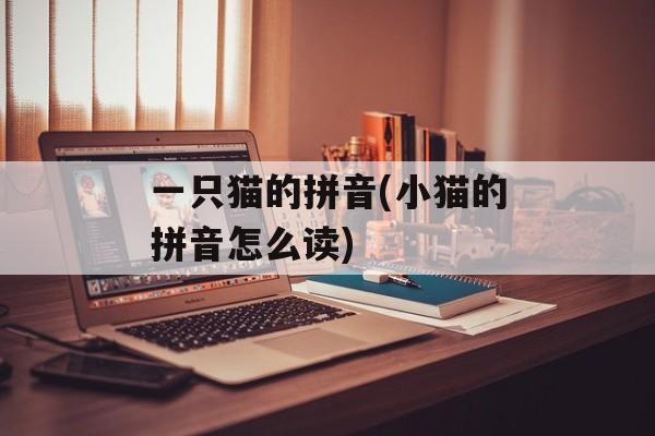 一只猫的拼音(小猫的拼音怎么读)-第1张图片-