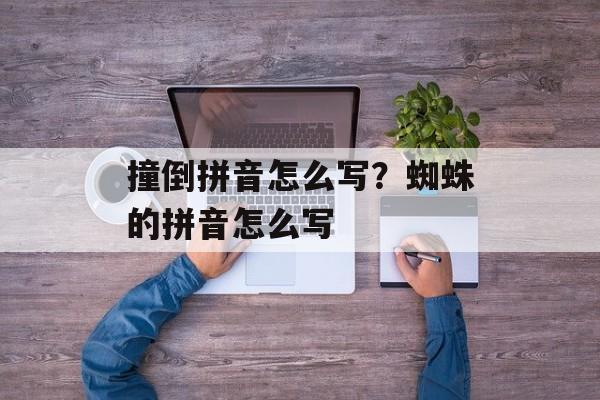 撞倒拼音怎么写？蜘蛛的拼音怎么写-第1张图片-