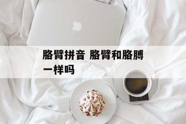胳臂拼音 胳臂和胳膊一样吗-第1张图片-