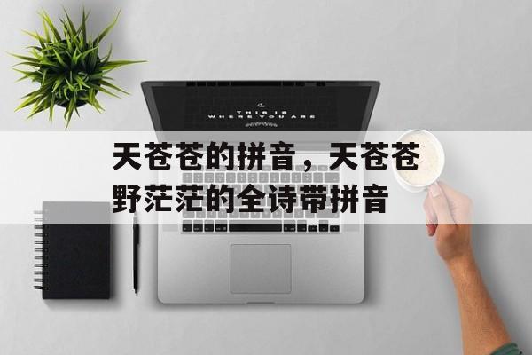 天苍苍的拼音，天苍苍野茫茫的全诗带拼音-第1张图片-