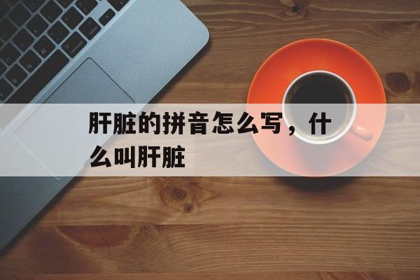 肝脏的拼音怎么写，什么叫肝脏-第1张图片-
