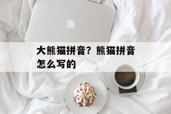 大熊猫拼音？熊猫拼音怎么写的-第1张图片-