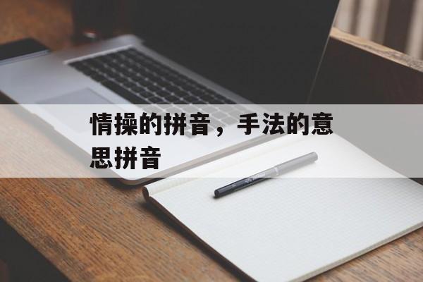情操的拼音，手法的意思拼音-第1张图片-