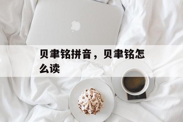 贝聿铭拼音，贝聿铭怎么读-第1张图片-