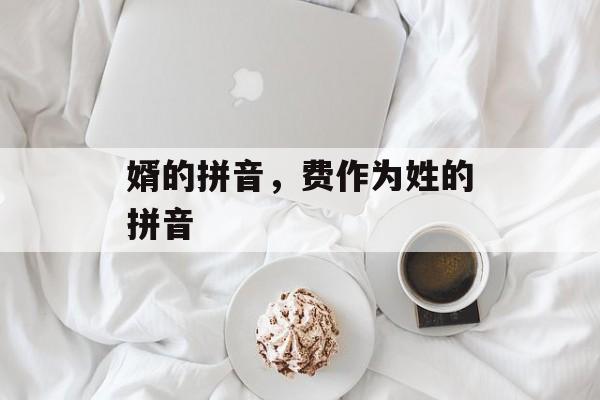 婿的拼音，费作为姓的拼音-第1张图片-