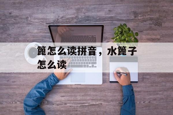 篦怎么读拼音，水篦子怎么读-第1张图片-