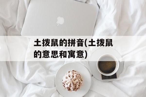土拨鼠的拼音(土拨鼠的意思和寓意)-第1张图片-