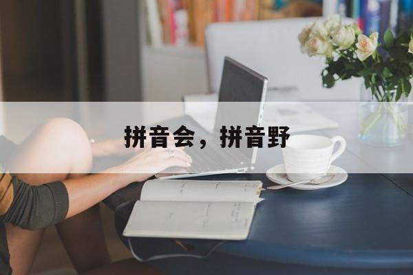 拼音会，拼音野-第1张图片-