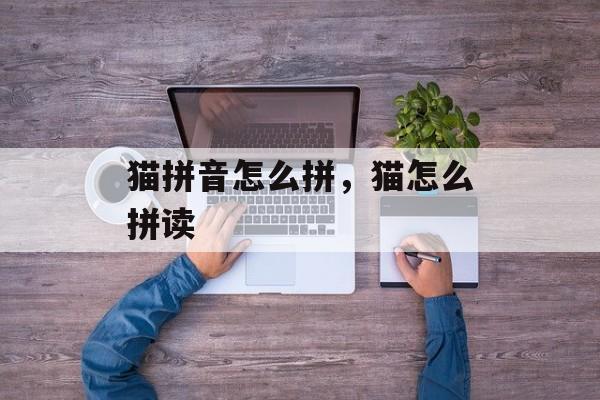 猫拼音怎么拼，猫怎么拼读-第1张图片-