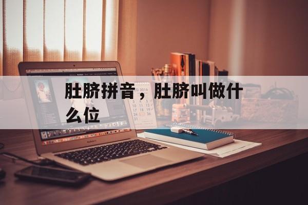 肚脐拼音，肚脐叫做什么位-第1张图片-