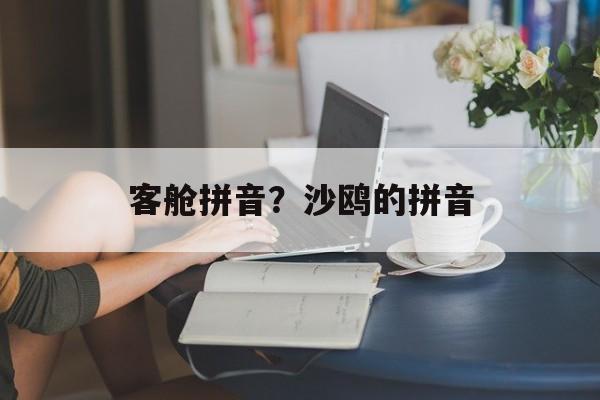 客舱拼音？沙鸥的拼音-第1张图片-