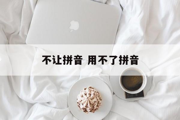 不让拼音 用不了拼音-第1张图片-