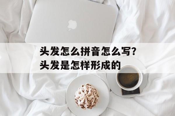 头发怎么拼音怎么写？头发是怎样形成的-第1张图片-