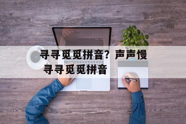 寻寻觅觅拼音？声声慢 寻寻觅觅拼音-第1张图片-