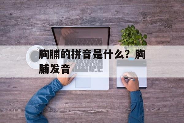 胸脯的拼音是什么？胸脯发音-第1张图片-