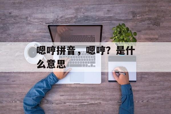 嗯哼拼音，嗯哼？是什么意思-第1张图片-