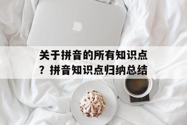 关于拼音的所有知识点？拼音知识点归纳总结-第1张图片-