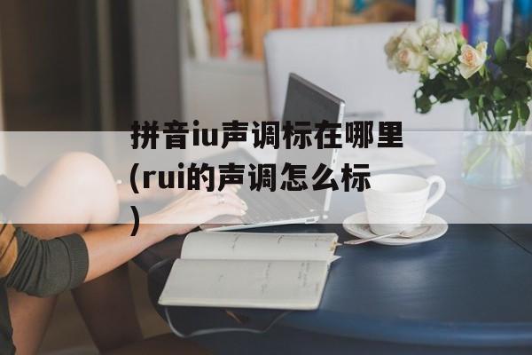 拼音iu声调标在哪里(rui的声调怎么标)-第1张图片-