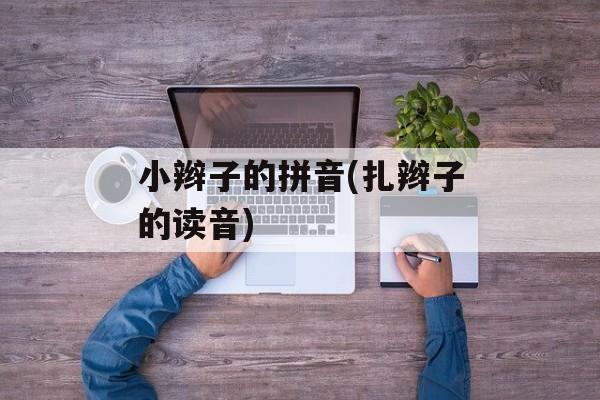 小辫子的拼音(扎辫子的读音)-第1张图片-