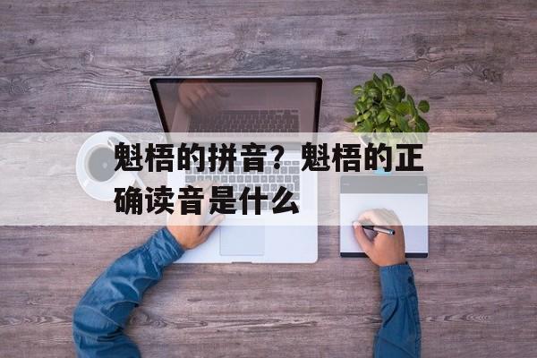 魁梧的拼音？魁梧的正确读音是什么-第1张图片-
