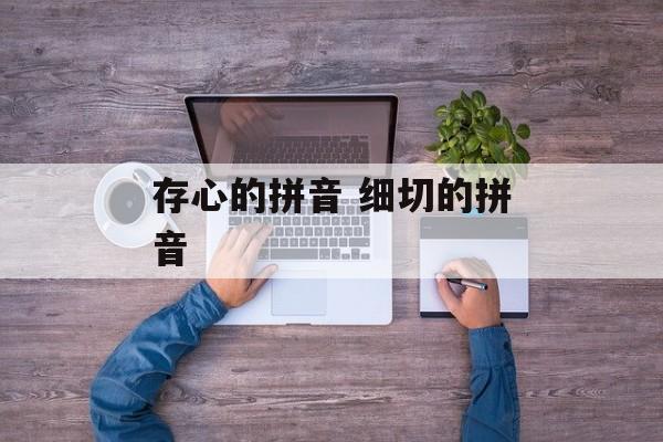 存心的拼音 细切的拼音-第1张图片-